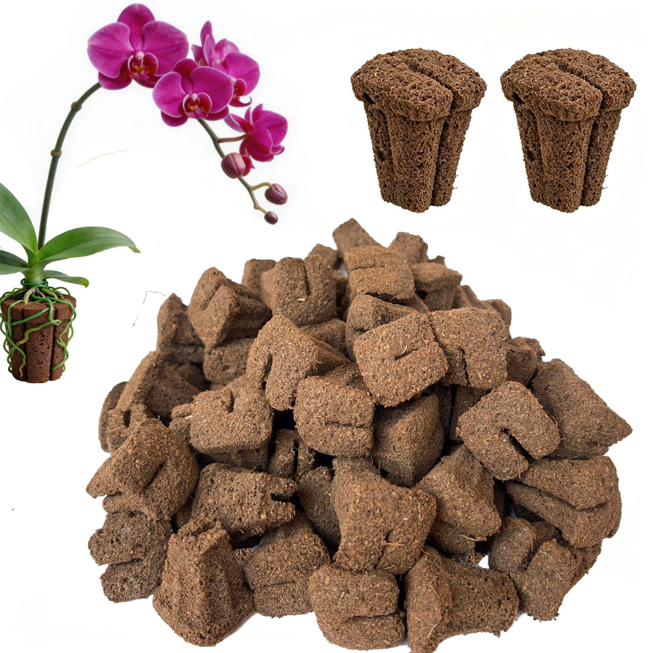 Seed Starter Trays - Hydroponic Rapid Grow Rooting Seed Starter