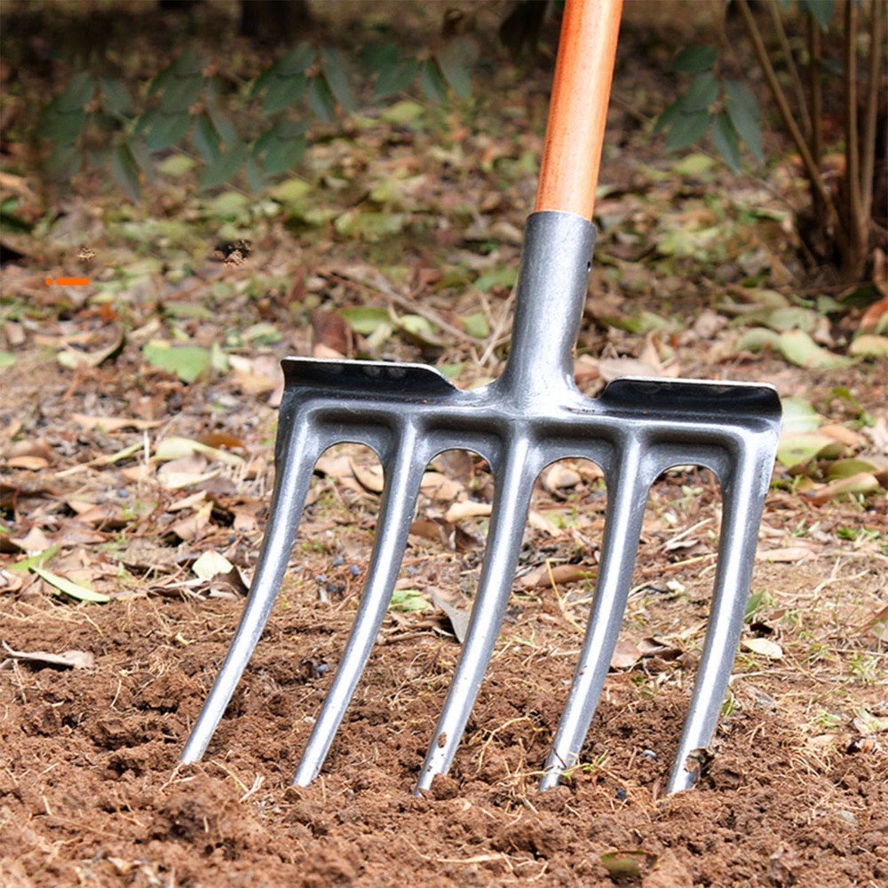 Sturdy High Carbon Steel Diggi - đánh giá và giá Spade Digging Fork