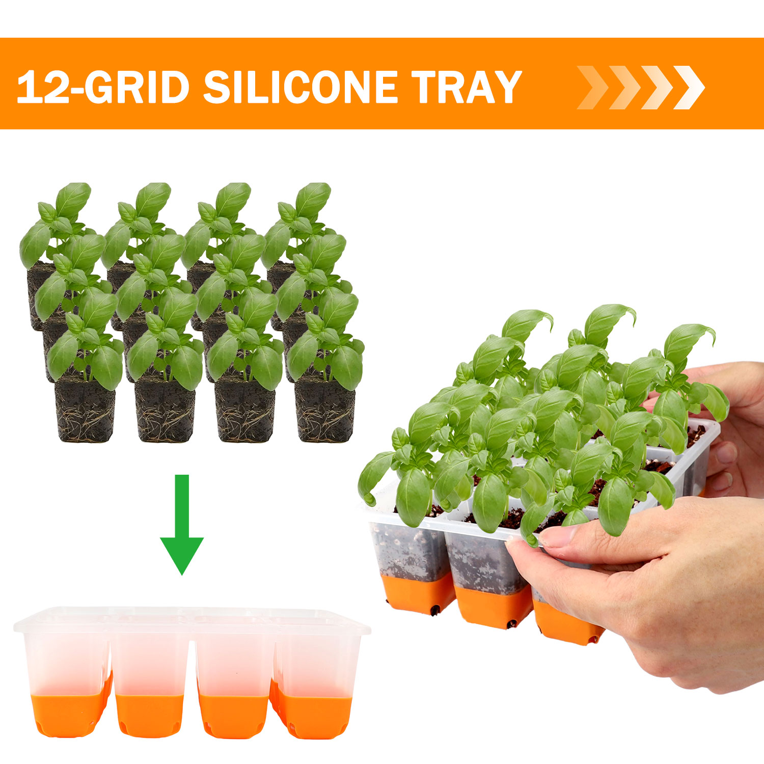 5/10 Orange Seed Starter Tray  - đánh giá và giá Seed Starter Trays