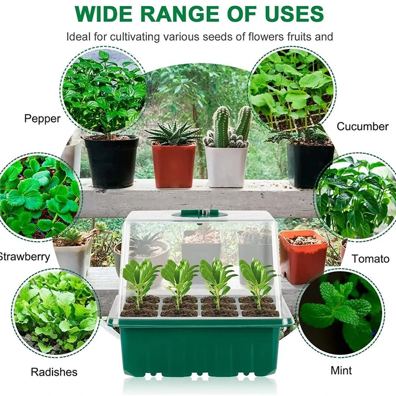 12 Cells LED Growth Light Seed - đánh giá và giá Seed Starter Trays