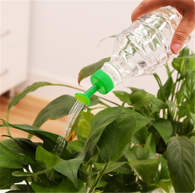 Nhựa Bền Vật Có Hoa Lon Nước X - đánh giá và giá Gardening Tools For Sale