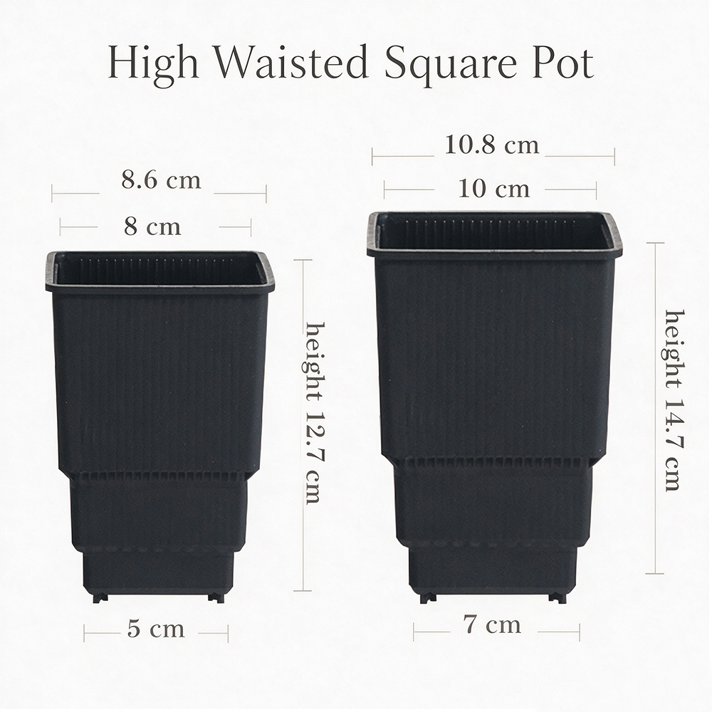 Meshpot High Waisted Square Nu - đánh giá và giá Seed Starter Trays