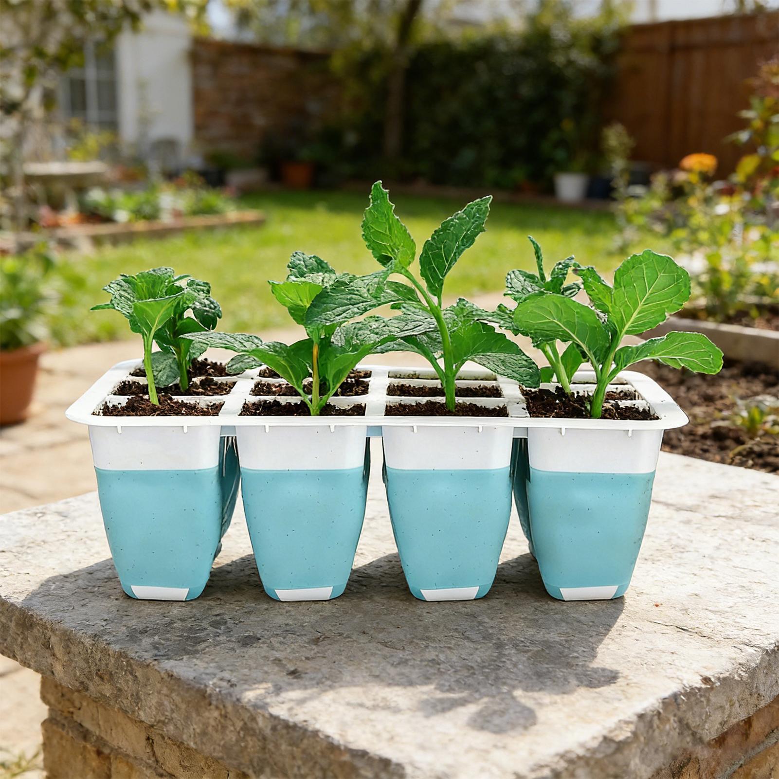 5 Pack Silicone Seed Starter T - đánh giá và giá Seed Starter Trays