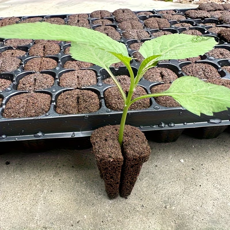 Hydroponic Rapid Grow Rooting  - đánh giá và giá Seed Starter Trays