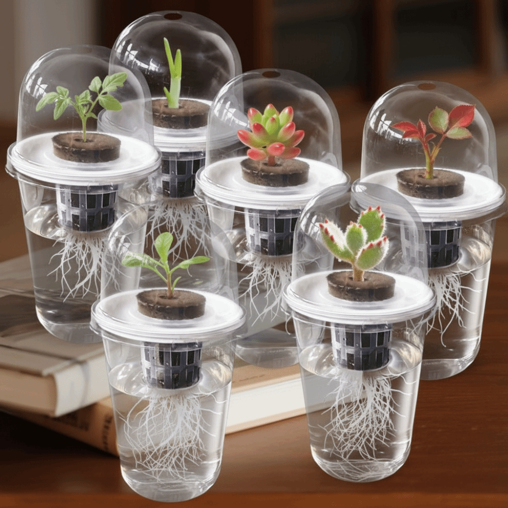 1-5pc Visible Clear Plants Ger - đánh giá và giá Seed Starter Trays