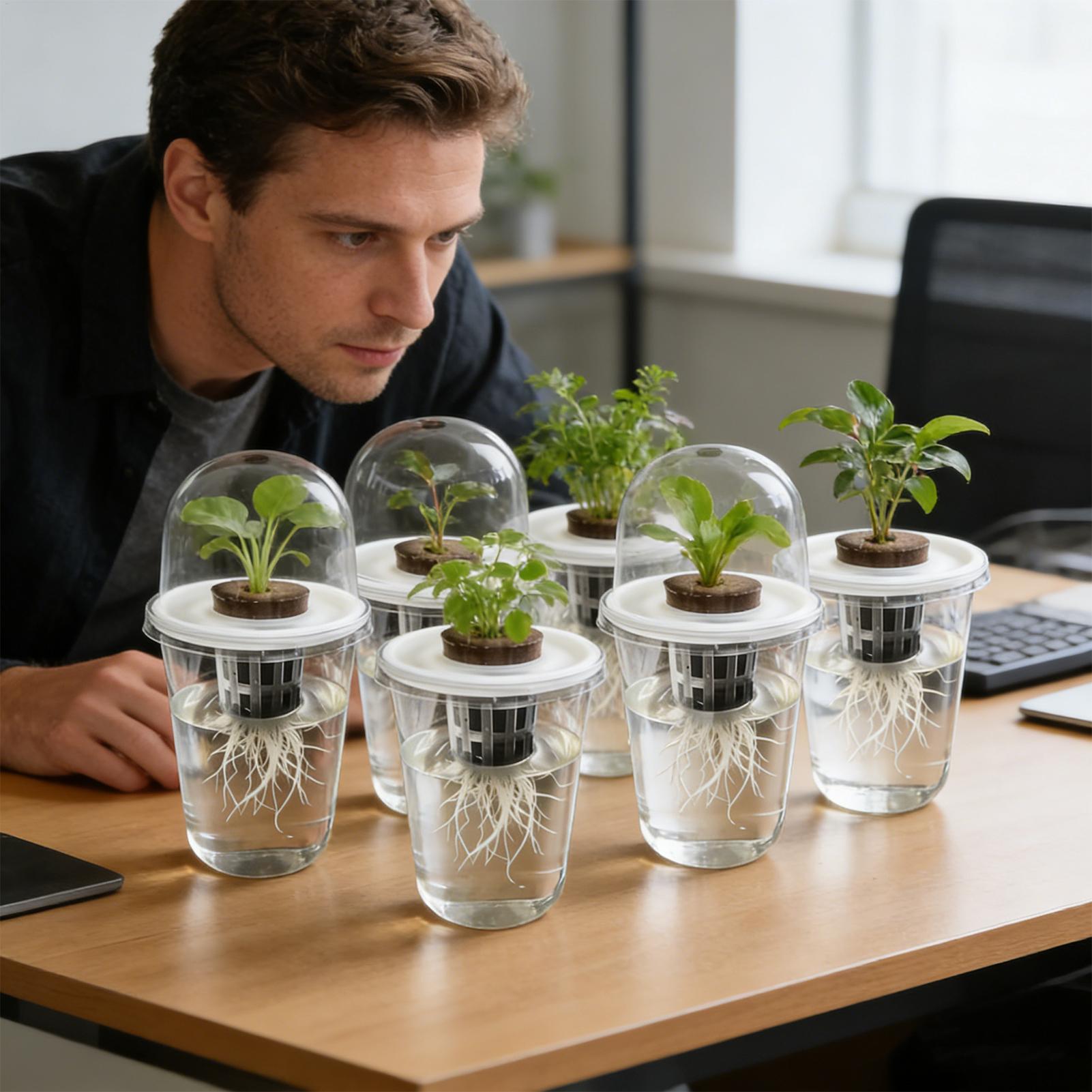 1-5pc Visible Clear Plants Ger - đánh giá và giá Seed Starter Trays