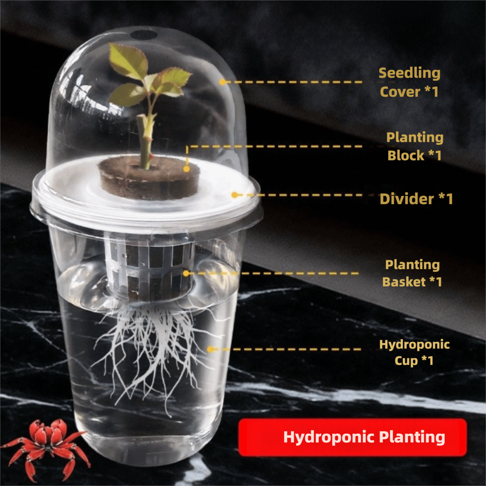 1-5pc Visible Clear Plants Ger - đánh giá và giá Seed Starter Trays