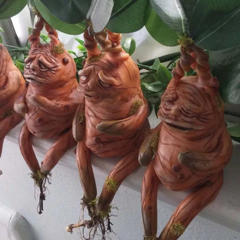 Mandrake Mandrake Resin Orname - đánh giá và giá Gardening Tools Amazon