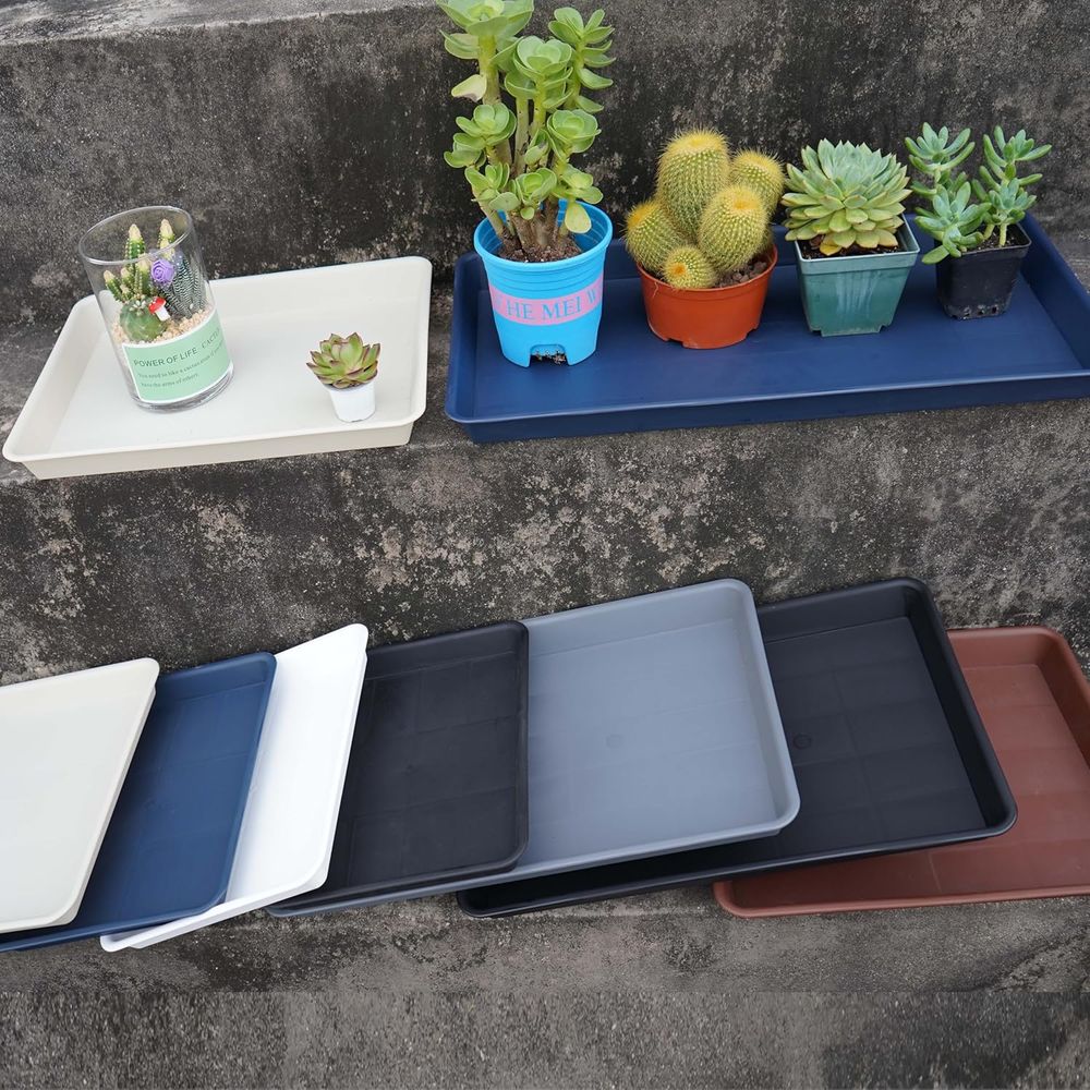 4-Pack Large Plastic Plant Dra - đánh giá và giá Seed Starter Trays