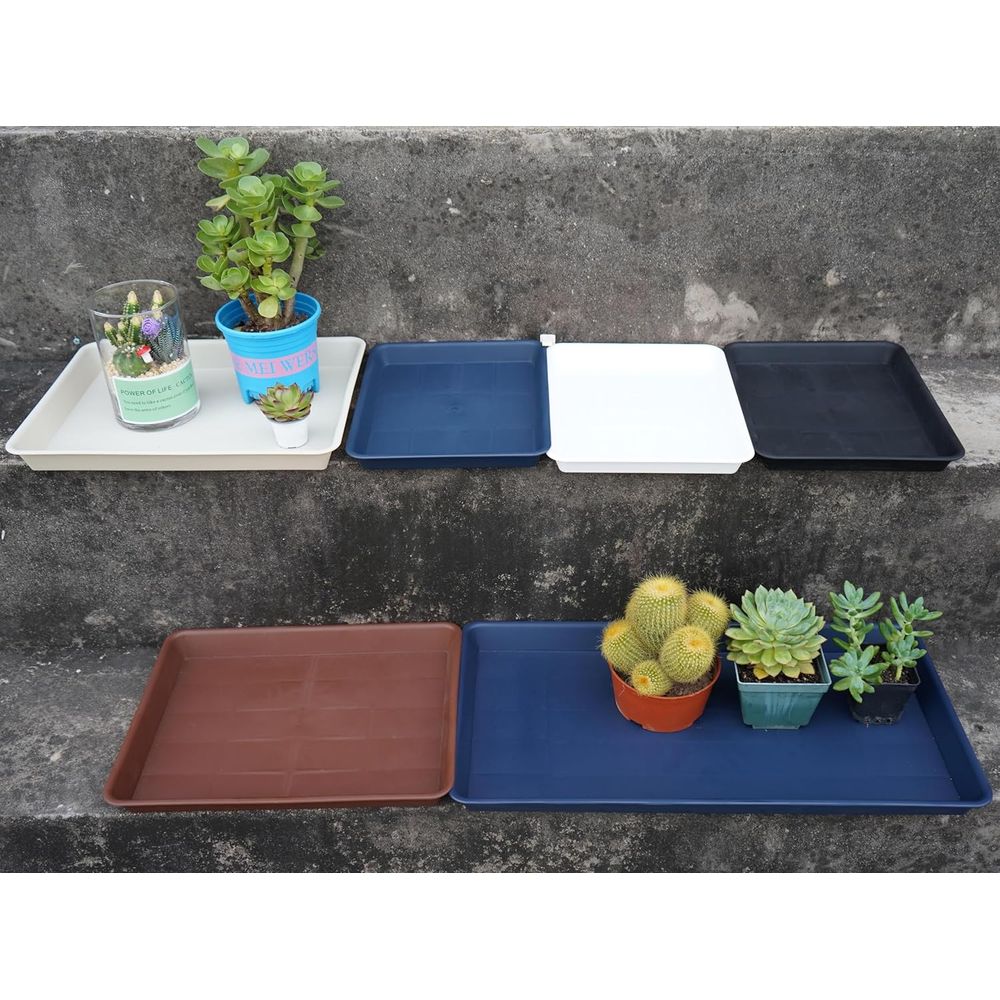 4-Pack Large Plastic Plant Dra - đánh giá và giá Seed Starter Trays