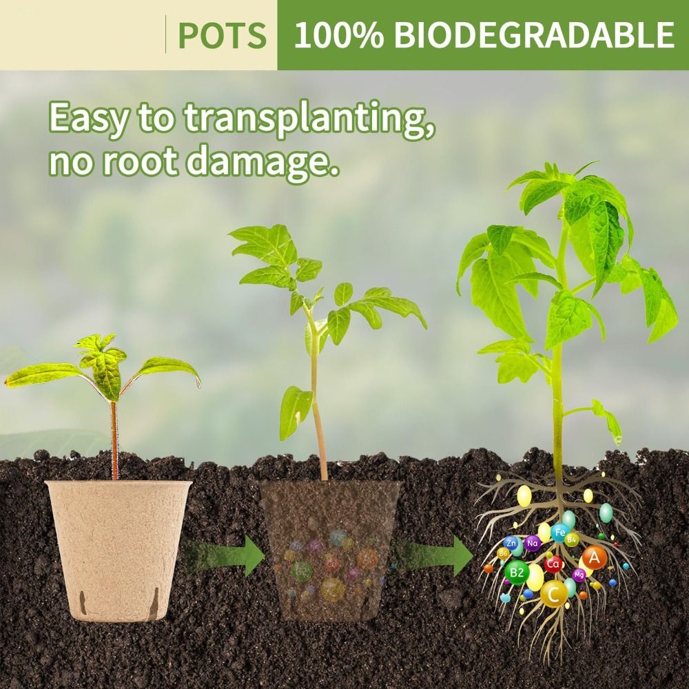 50PCS Biodegradable Plant Star - đánh giá và giá Seed Starter Trays