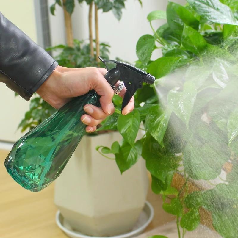Hot Sale 600ml Mist Sprayer Bo - đánh giá và giá Gardening Tools For Sale