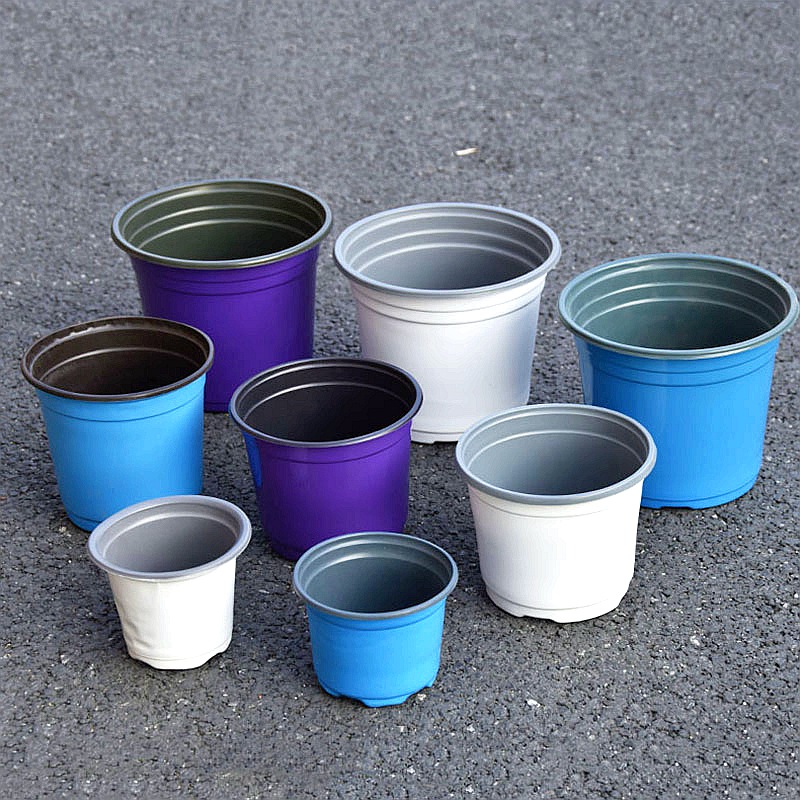 100Pcs Color Plastic Flowerpot - đánh giá và giá Seed Starter Trays