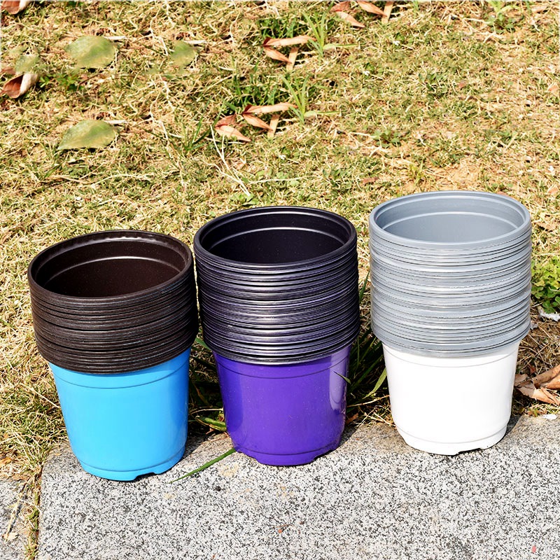 100Pcs Color Plastic Flowerpot - đánh giá và giá Seed Starter Trays